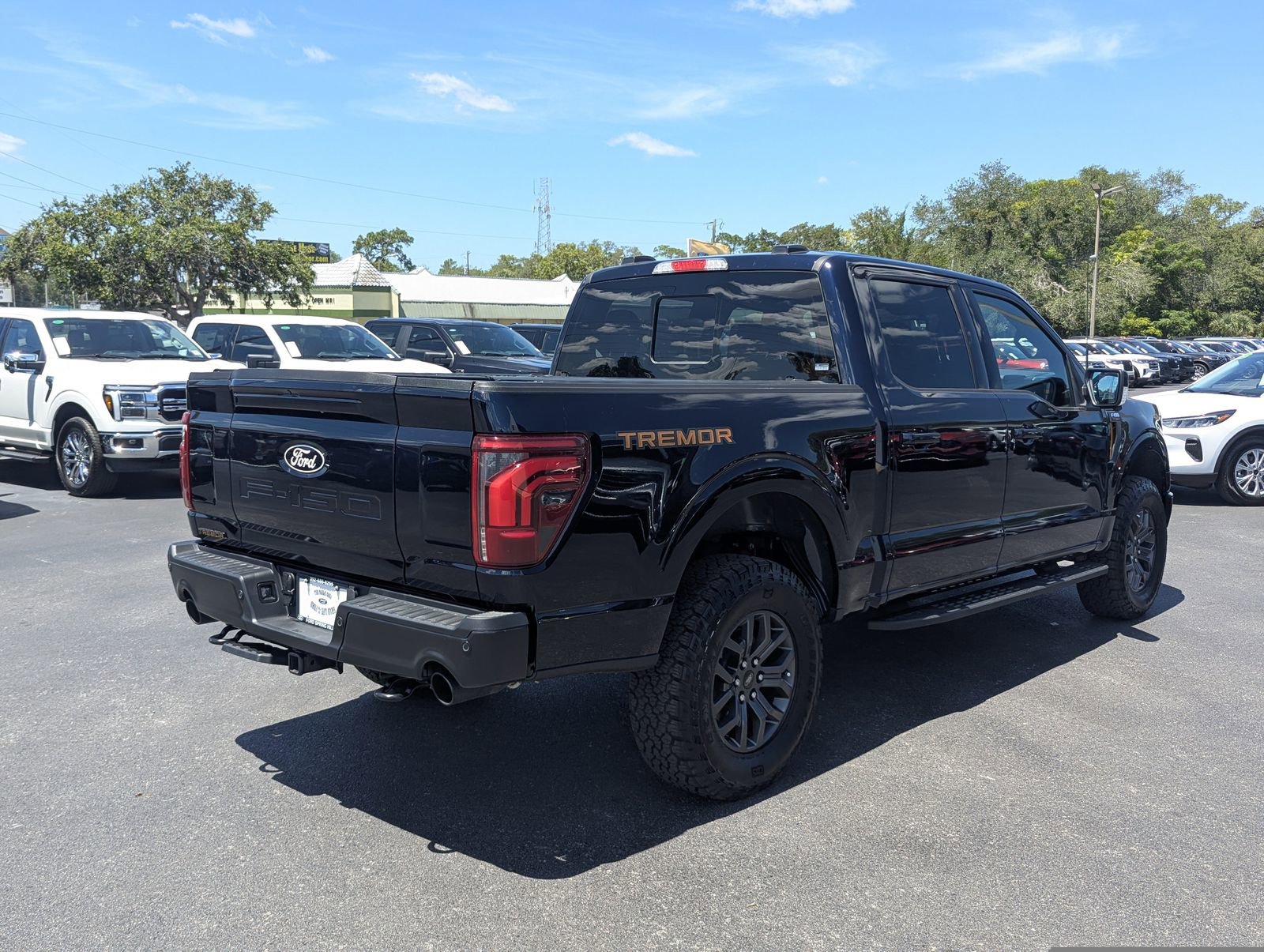Certified 2025 Ford F150 Tremor w/ Equipment Group 402A High AWD/4WD image 4