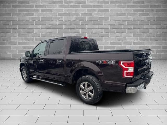 Certified 2019 Ford F150 XLT w/ Equipment Group 302A Luxury image 3