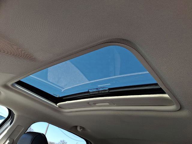 Certified 2022 Ford EcoSport SES image 14