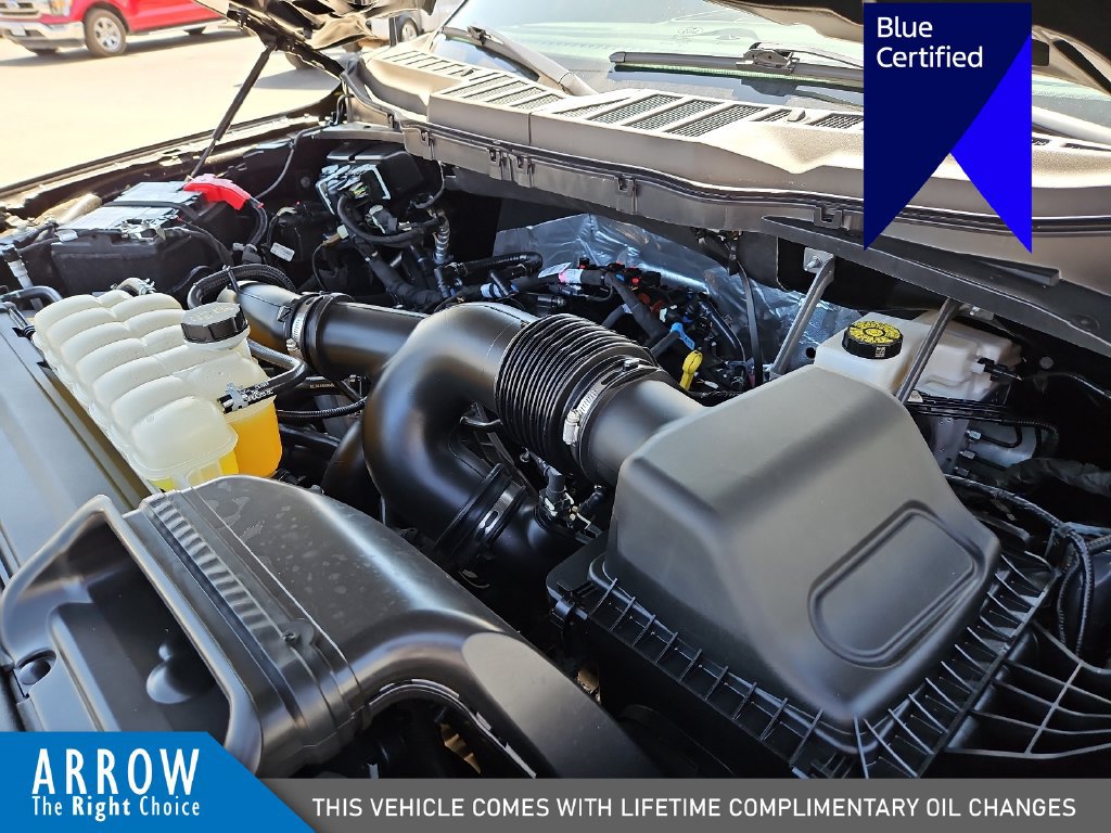 Certified 2025 Ford F150 STX RWD image 15