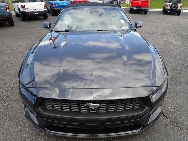 Certified 2024 Ford Mustang Premium image 8