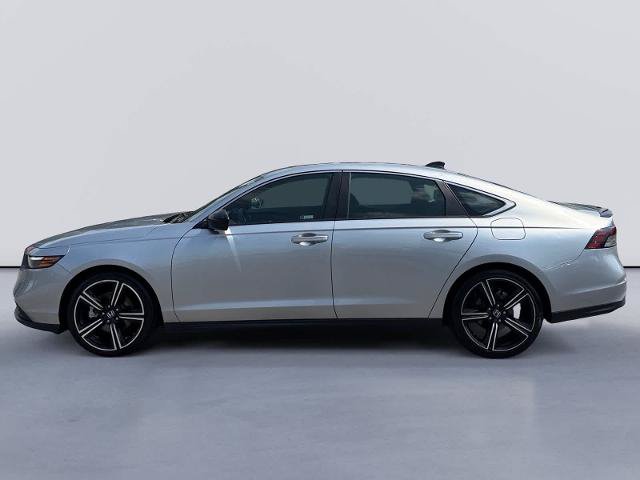 Used 2024 Honda Accord Sport image 2