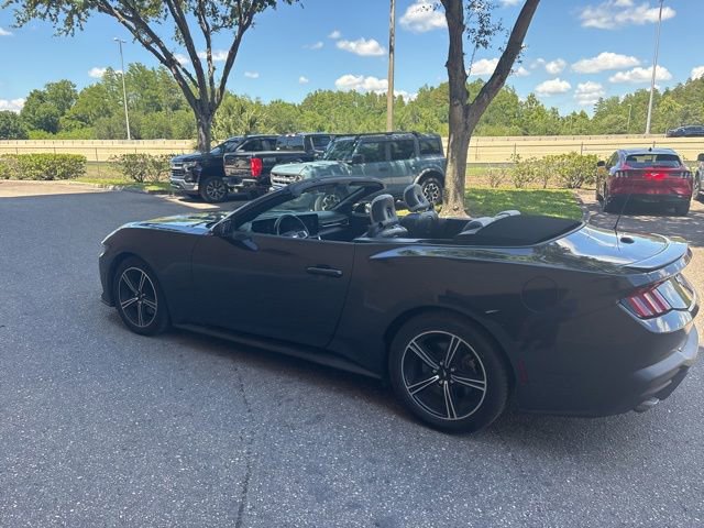Certified 2024 Ford Mustang Premium RWD image 7