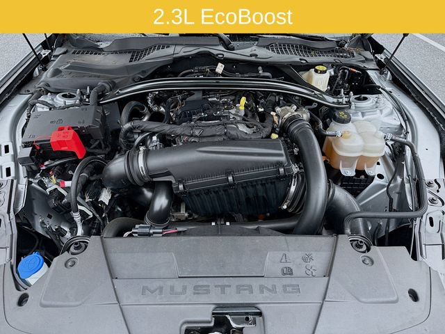 Certified 2025 Ford Mustang Premium RWD image 35