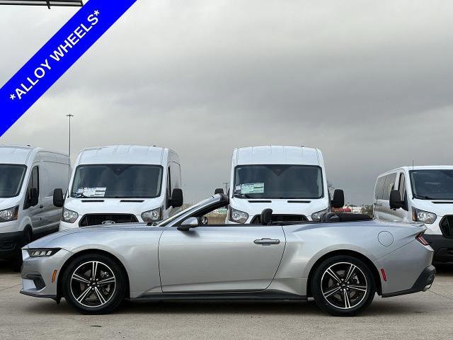 Certified 2024 Ford Mustang Premium image 3