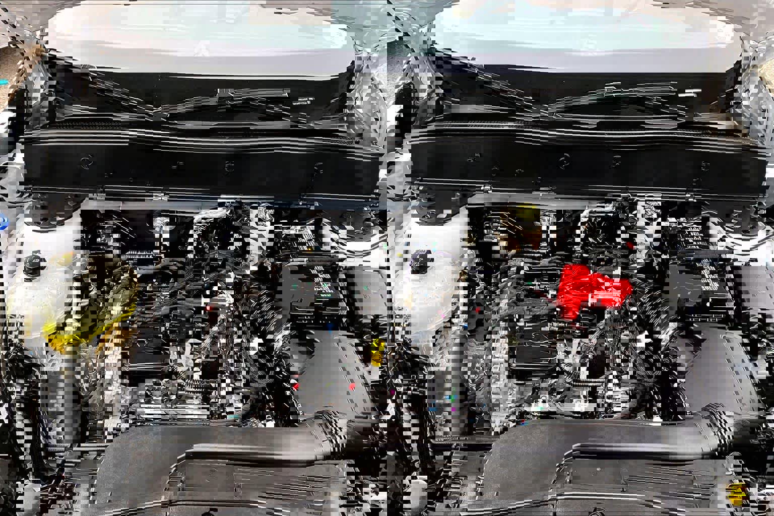 Certified 2024 Ford Bronco Sport Free Wheeling image 31