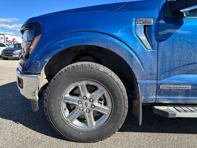 Certified 2024 Ford F150 XLT w/ Equipment Group 302A MID AWD/4WD image 10