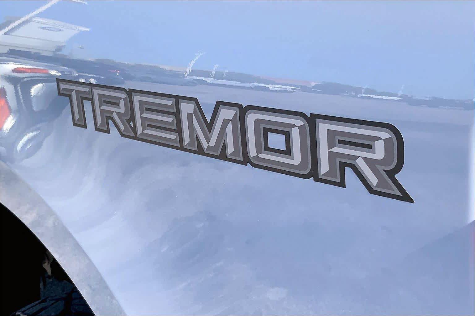 Certified 2025 Ford F250 Platinum w/ Tremor Off-Road Package AWD/4WD image 10