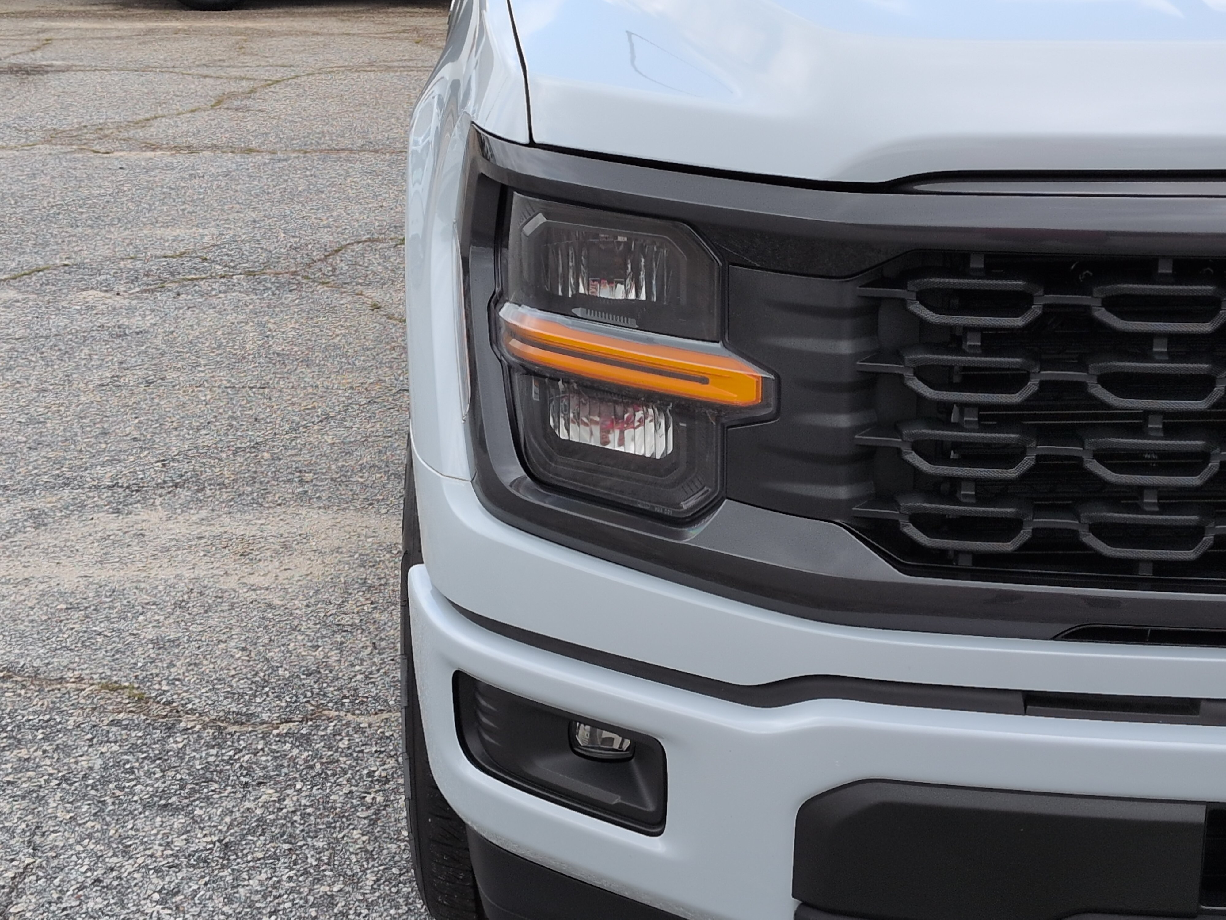 Certified 2025 Ford F150 STX w/ Equipment Group 200A RWD image 8