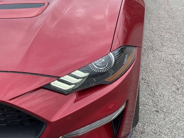 Certified 2022 Ford Mustang EcoBoost w/ Equipment Group 101A image 9