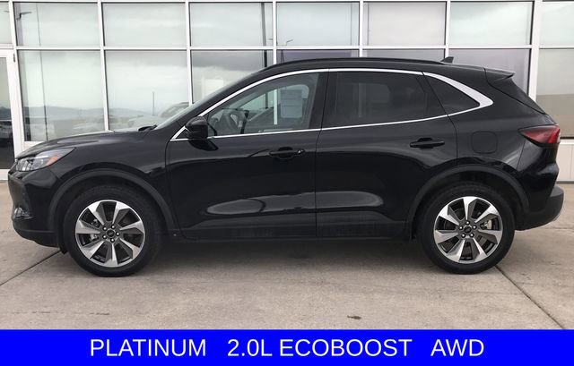 Certified 2024 Ford Escape Platinum image 5