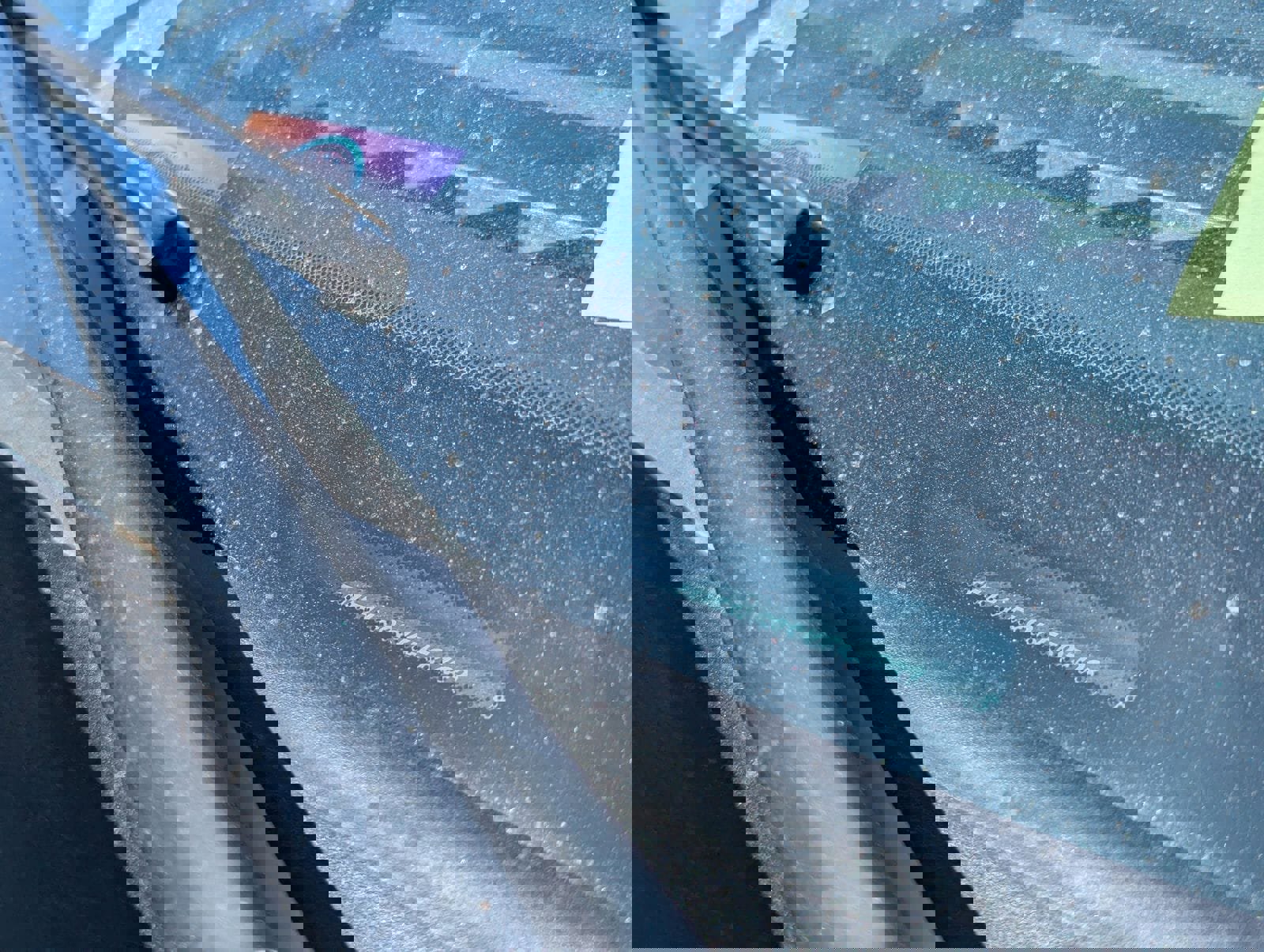 Certified 2025 Ford F150 XL image 6