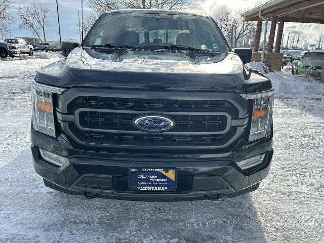 Certified 2023 Ford F150 XLT w/ Equipment Group 302A High image 3