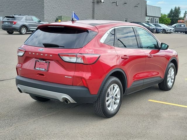 Certified 2022 Ford Escape SE w/ Cold Weather Package AWD/4WD image 4