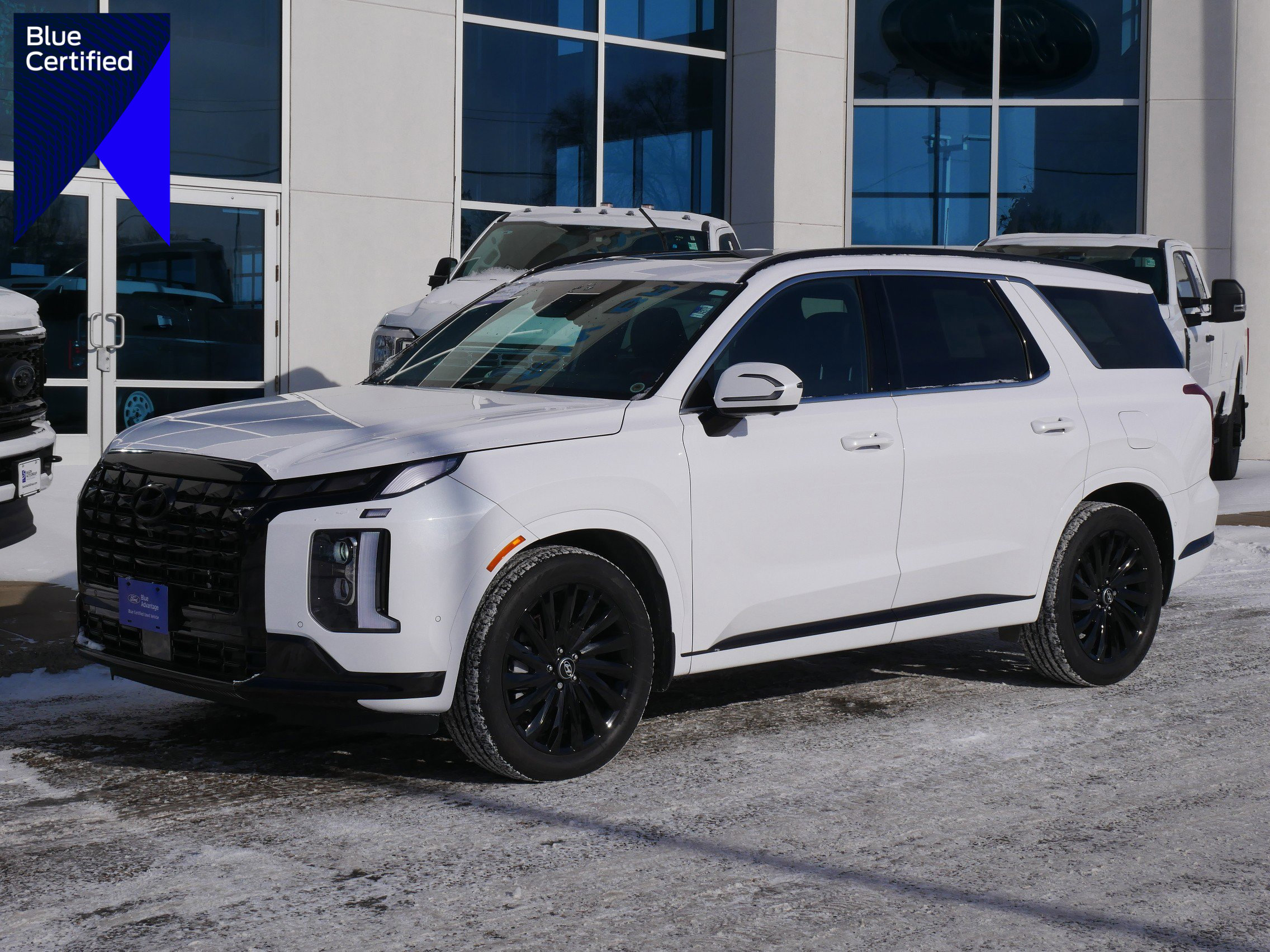 Used 2025 Hyundai Palisade Calligraphy