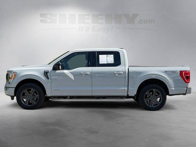 Certified 2023 Ford F150 XLT w/ Equipment Group 302A High AWD/4WD image 16