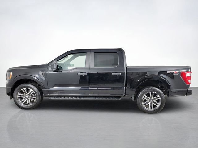 Certified 2023 Ford F150 XL w/ STX Appearance Package image 2