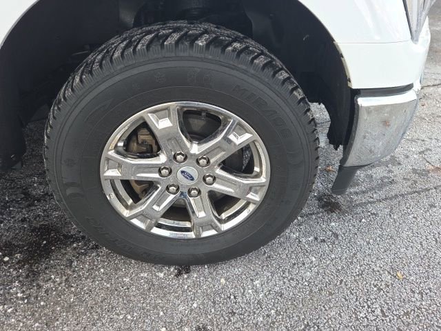 Certified 2023 Ford F150 XLT w/ Equipment Group 302A High image 2