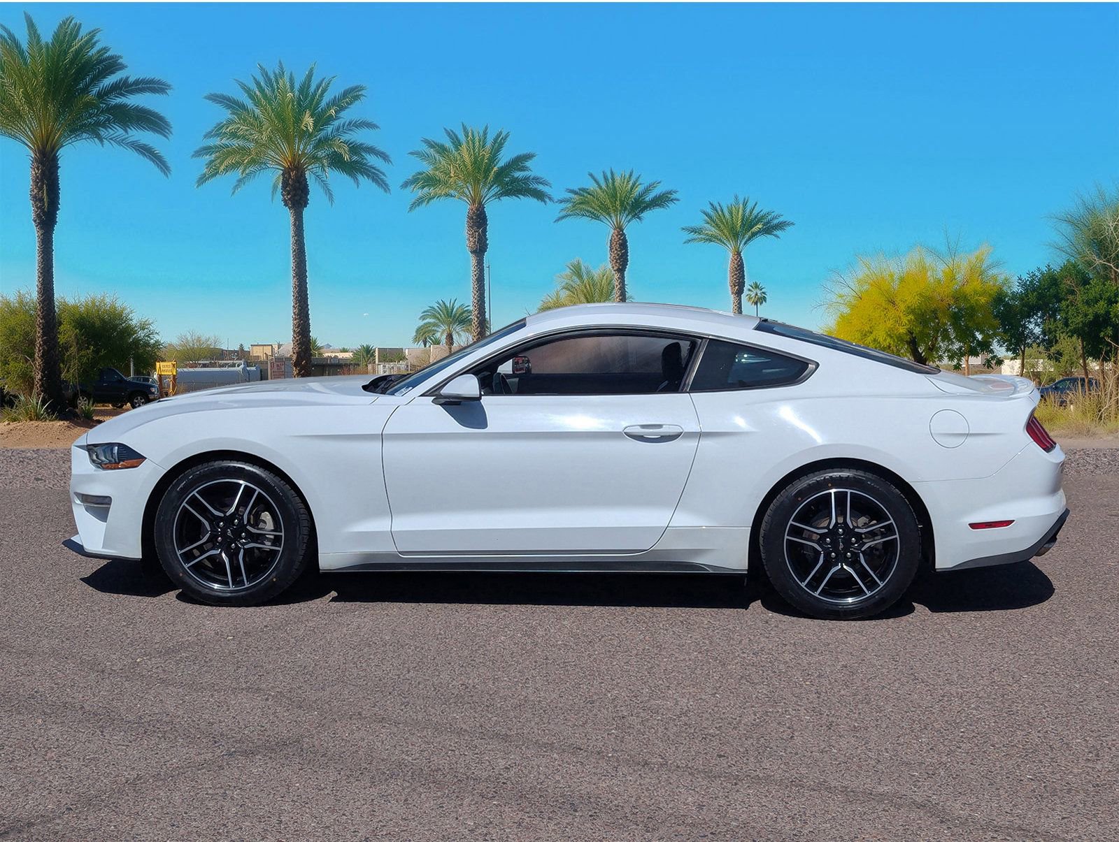 Certified 2023 Ford Mustang Premium image 3