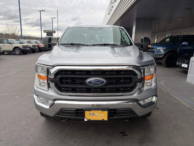 Certified 2021 Ford F150 XLT w/ Equipment Group 301A Mid image 7