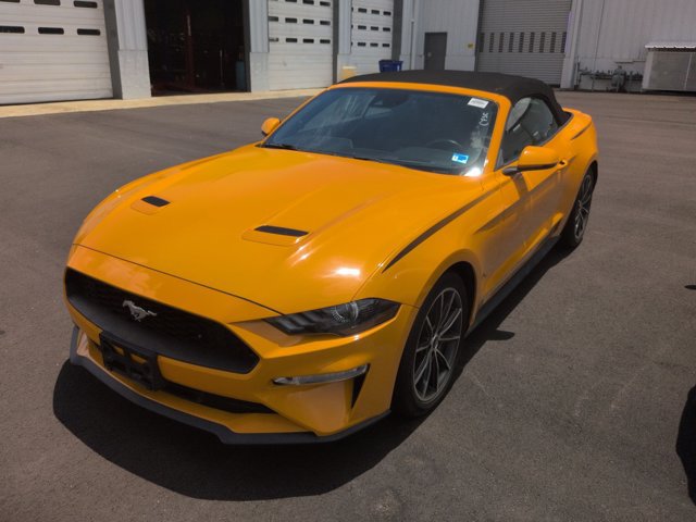 Certified 2019 Ford Mustang Premium w/ Equipment Group 201A RWD image 2