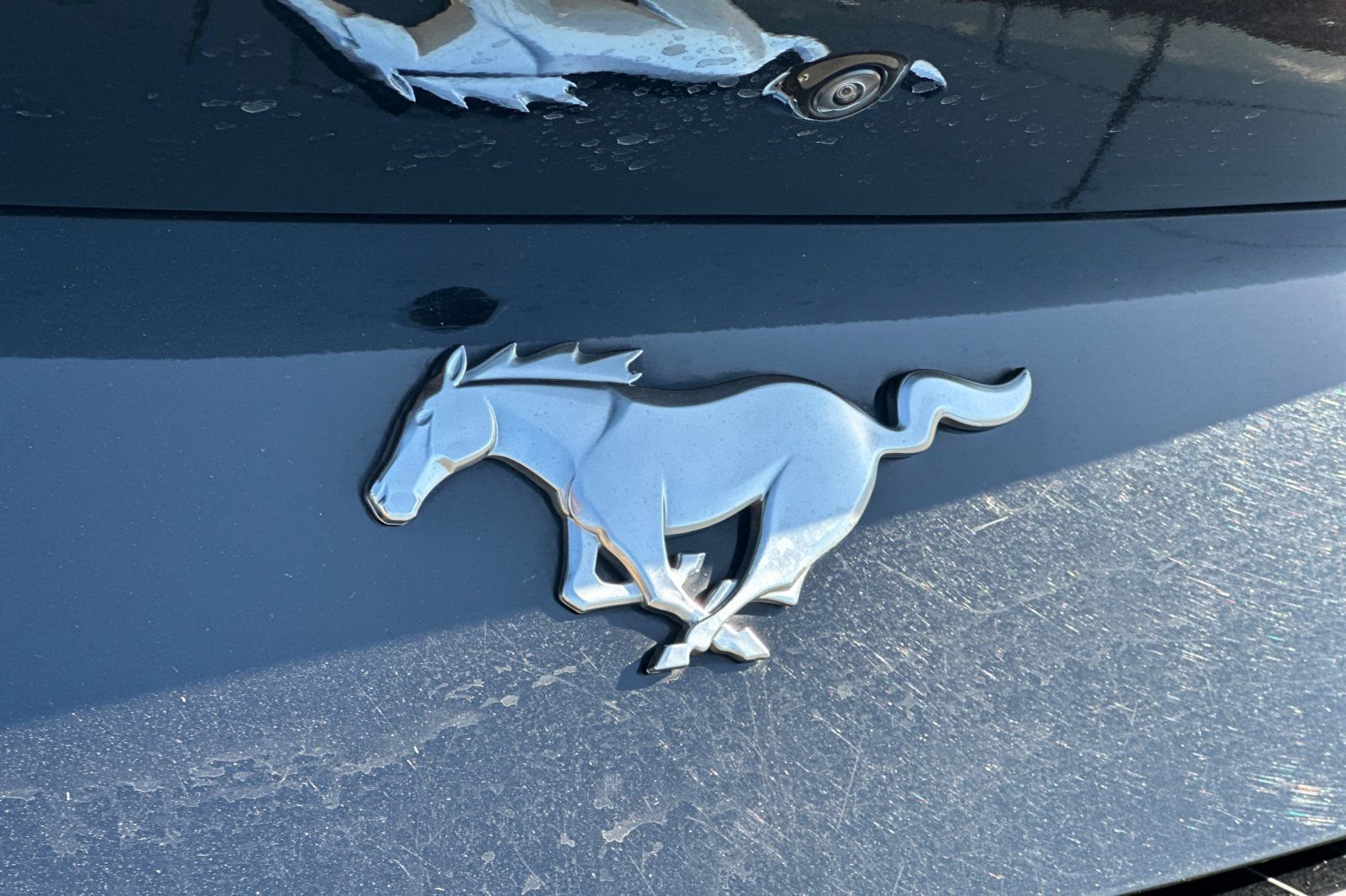 Certified 2024 Ford Mustang Premium RWD image 23