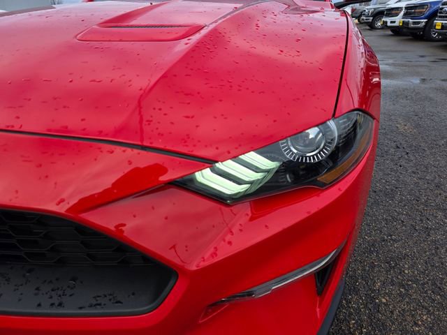 Certified 2022 Ford Mustang Coupe w/ Equipment Group 101A image 9