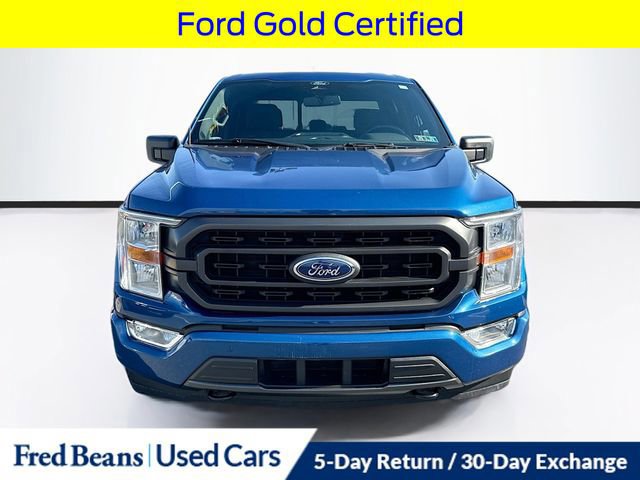 Certified 2022 Ford F150 XLT w/ Equipment Group 301A Mid image 8