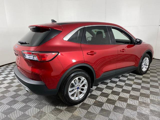 Certified 2022 Ford Escape SE w/ Cold Weather Package image 4