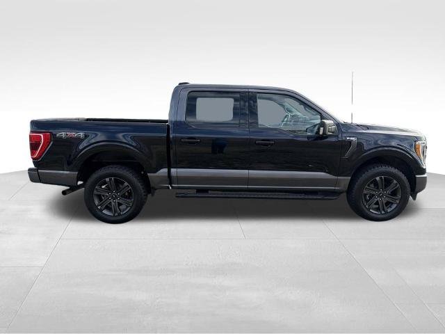 Certified 2023 Ford F150 XLT w/ Equipment Group 302A High AWD/4WD image 6