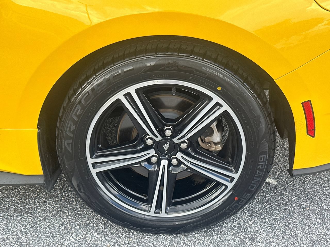 Certified 2024 Ford Mustang Premium RWD image 20