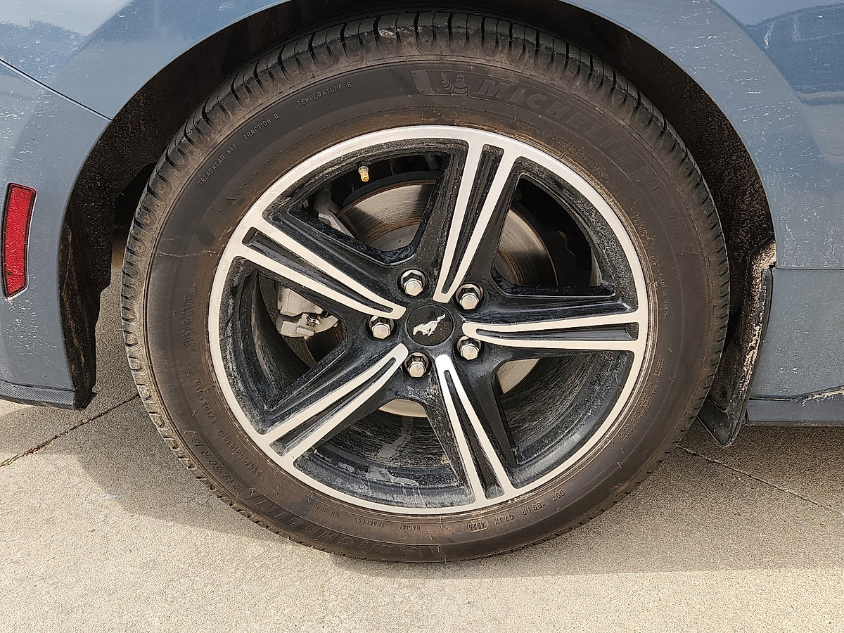 Certified 2024 Ford Mustang Premium RWD image 8