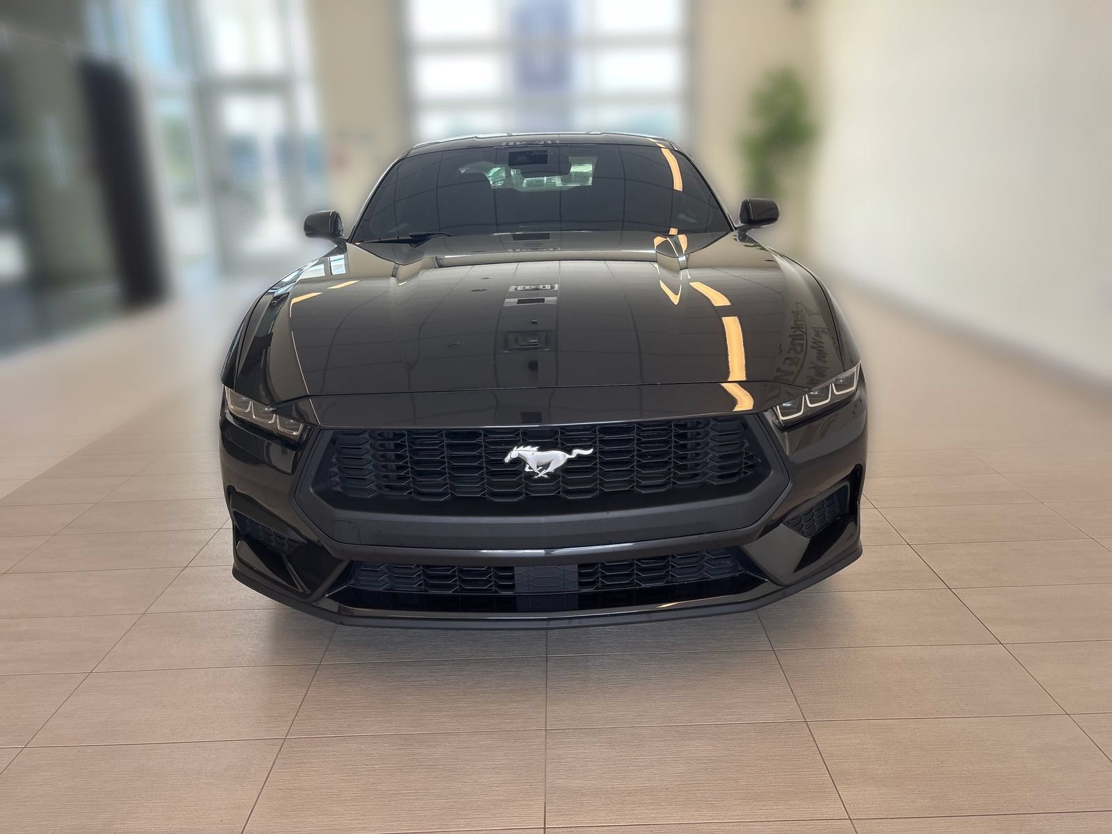 Certified 2024 Ford Mustang Coupe RWD image 5