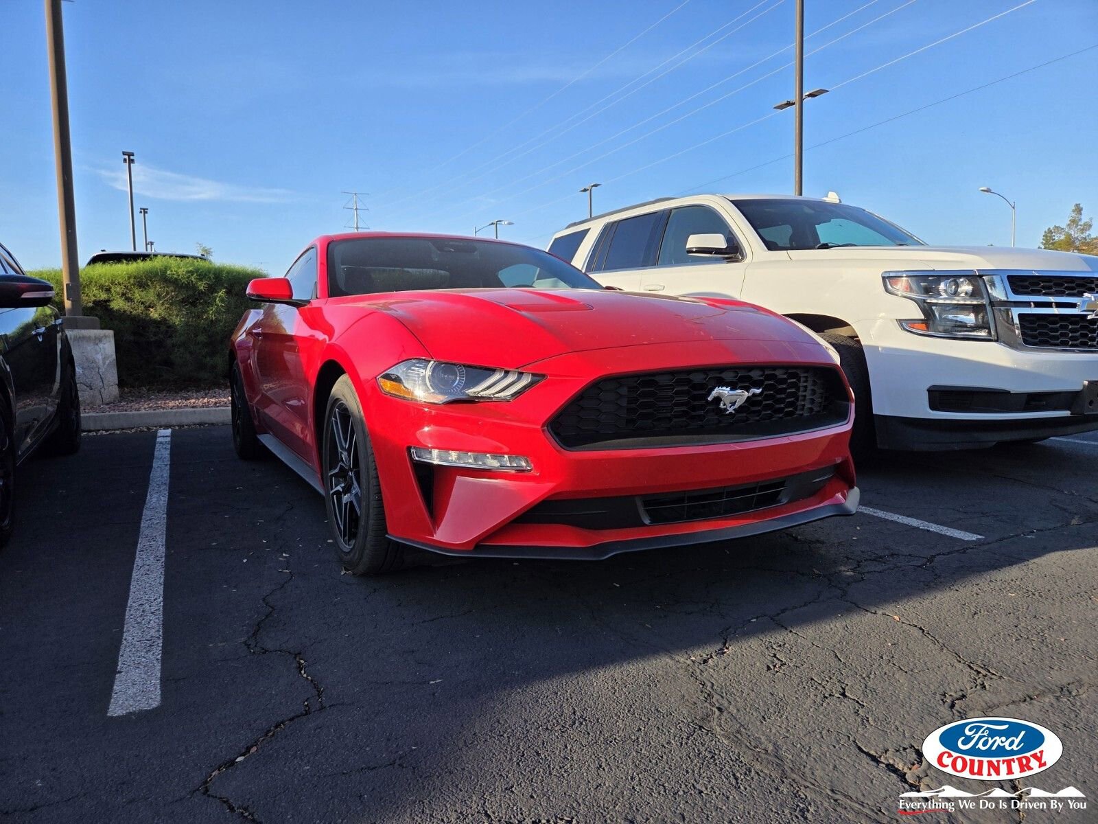 Certified 2023 Ford Mustang Premium w/ Equipment Group 201A image 1