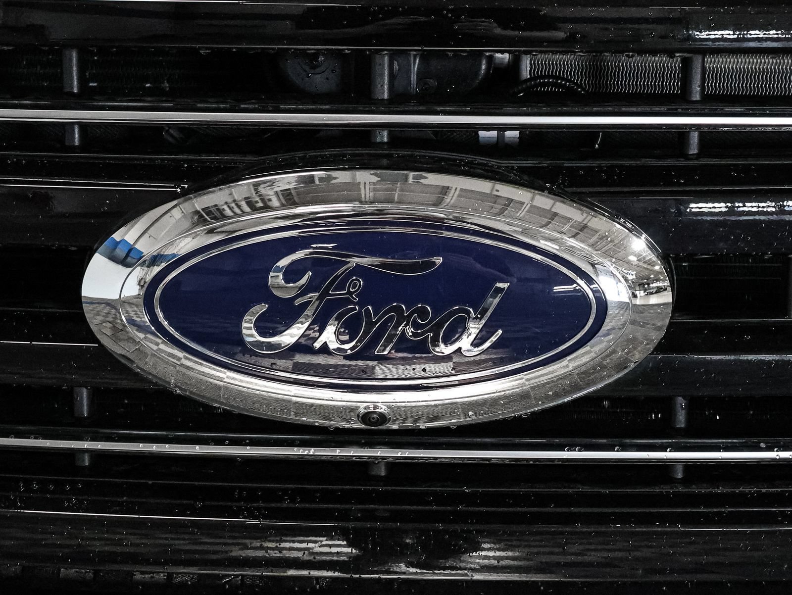 Certified 2025 Ford F350 Platinum AWD/4WD image 13