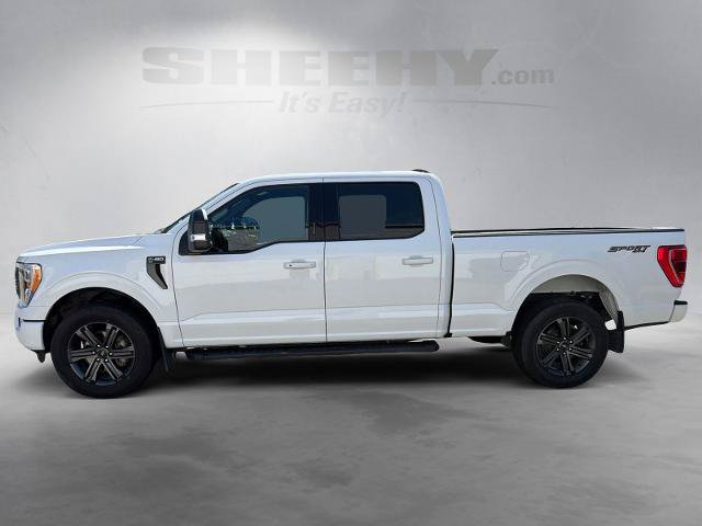 Certified 2023 Ford F150 XLT w/ Equipment Group 302A High AWD/4WD image 16