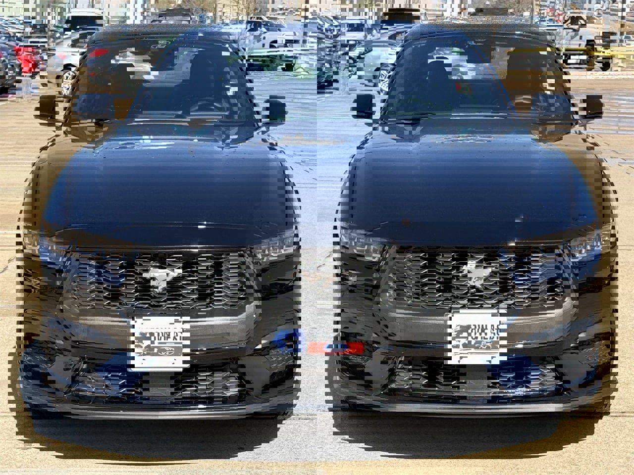 Certified 2025 Ford Mustang Ecoboost image 7