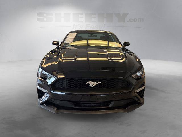 Certified 2018 Ford Mustang Coupe RWD image 15
