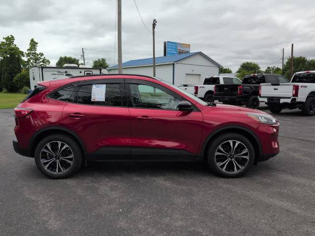 Certified 2022 Ford Escape SEL w/ SEL Stealth AWD Package image 4