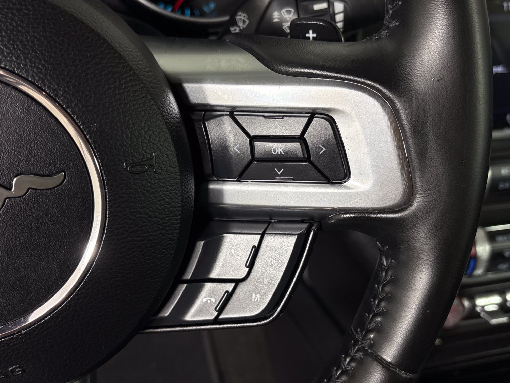 Certified 2019 Ford Mustang Premium RWD image 19