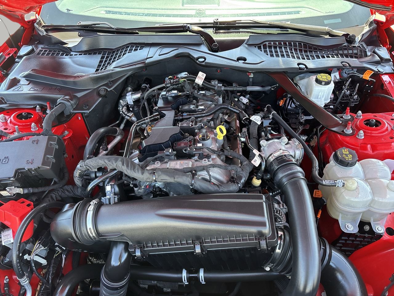 Certified 2024 Ford Mustang Premium image 16