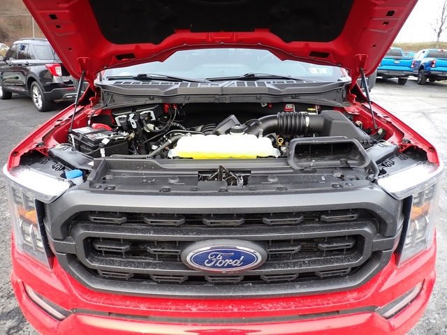 Certified 2022 Ford F150 XLT w/ Equipment Group 302A High image 16