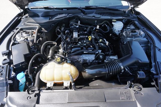 Certified 2022 Ford Mustang Premium w/ Equipment Group 201A RWD image 8