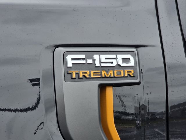 Certified 2025 Ford F150 Tremor w/ Mobile Office Package AWD/4WD image 32