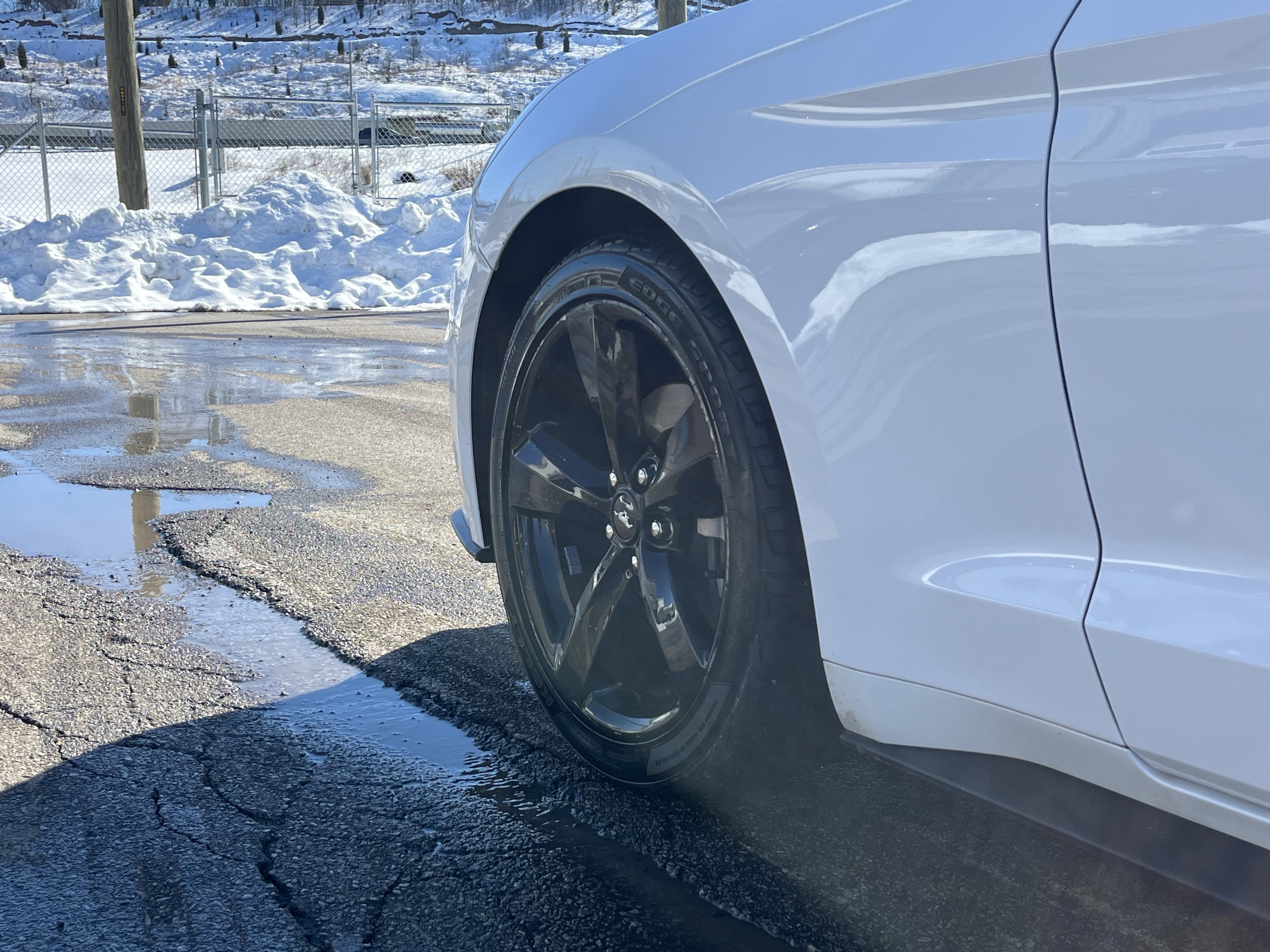 Certified 2023 Ford Mustang Coupe w/ Equipment Group 101A image 9