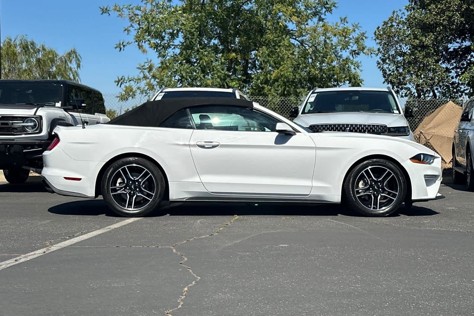 Certified 2018 Ford Mustang Premium w/ Equipment Group 201A RWD image 8