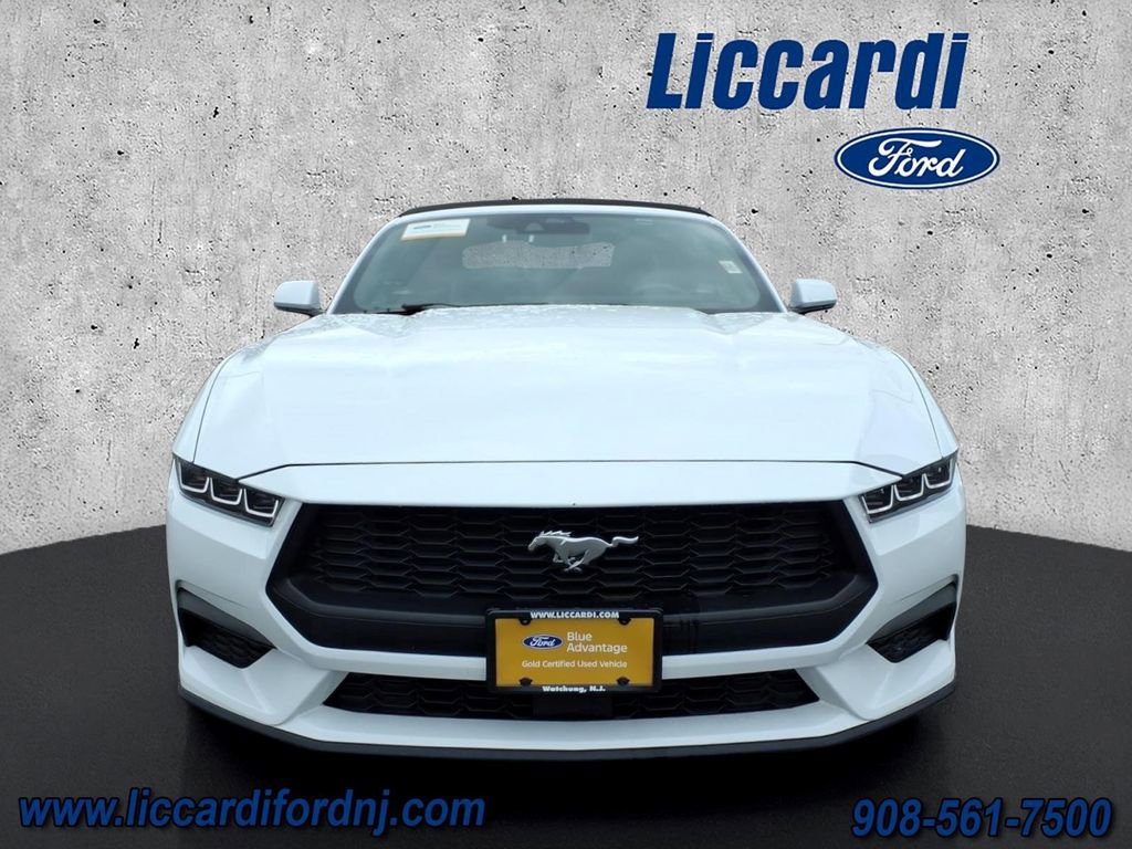 Certified 2025 Ford Mustang Premium RWD image 2