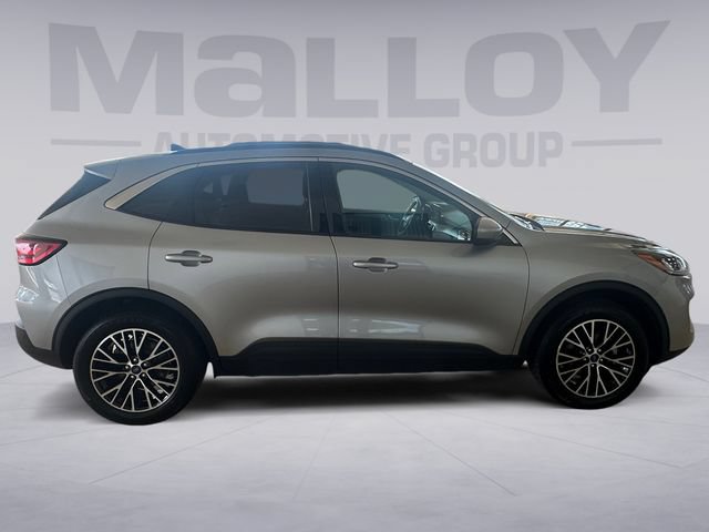 Certified 2022 Ford Escape SEL w/ Technology Package FWD image 6