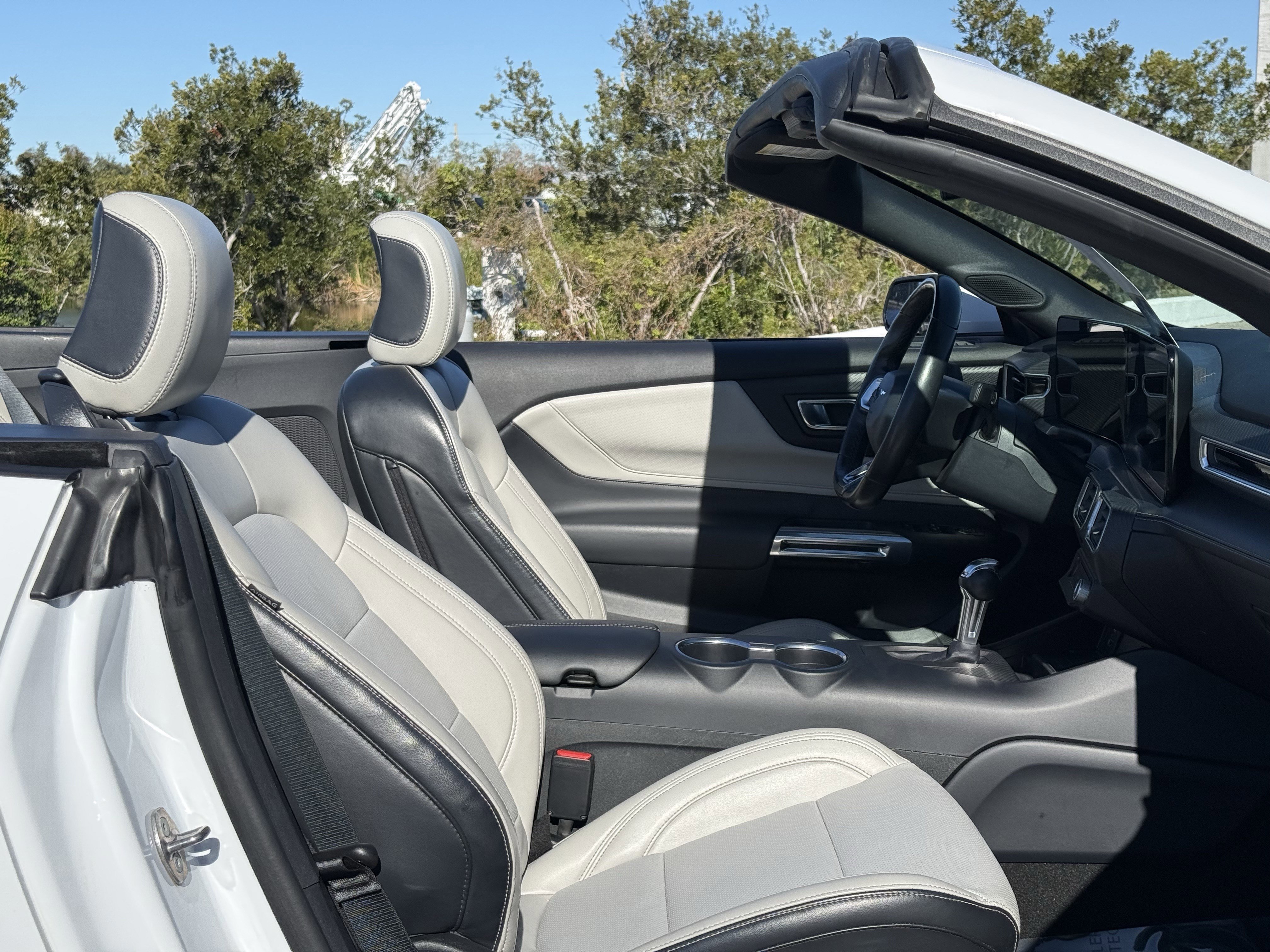 Certified 2024 Ford Mustang Premium image 13