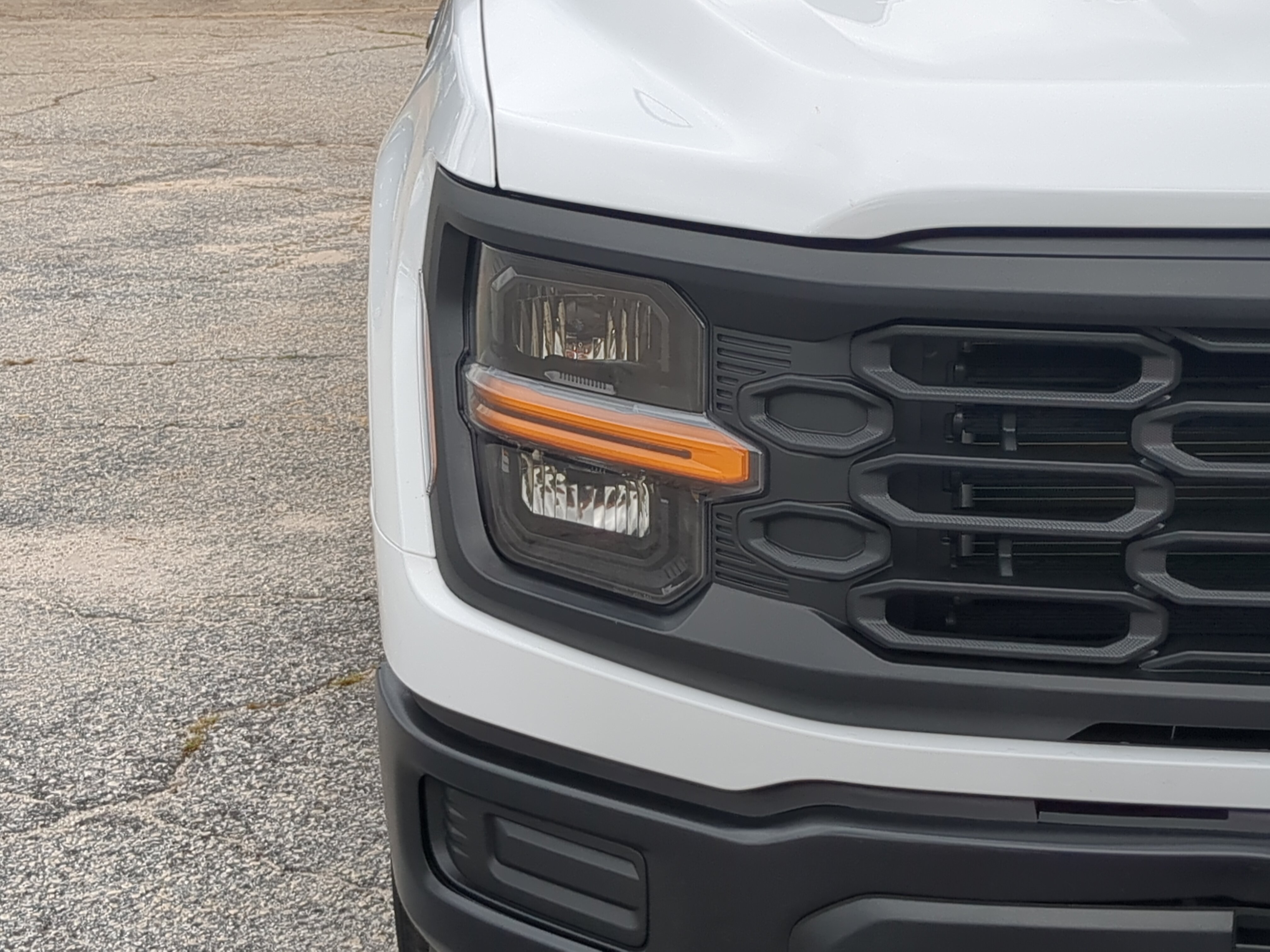 Certified 2025 Ford F150 XL RWD image 8